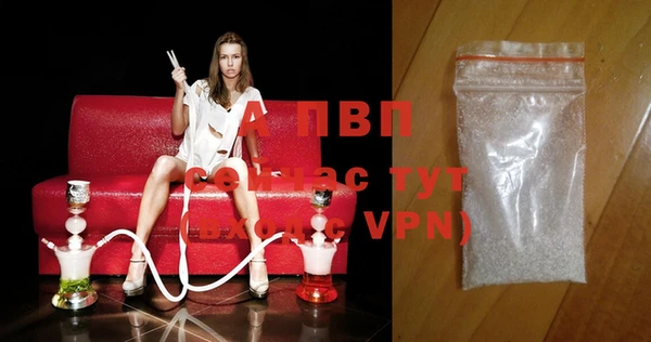 гидра Покачи