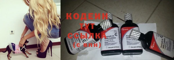 меф Арсеньев
