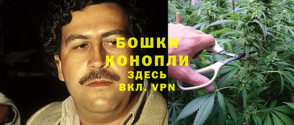 ГАЛЛЮЦИНОГЕННЫЕ ГРИБЫ Алексеевка